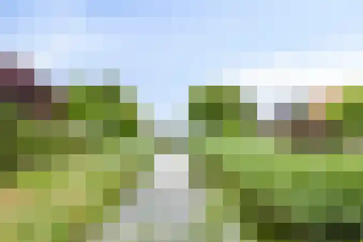 Priorindreef 24 Willemstad thumbnail 27