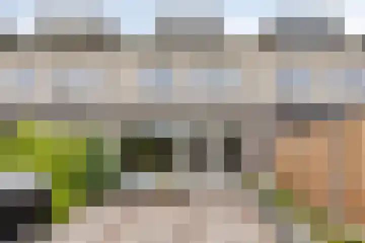 Priorindreef 54 Willemstad thumbnail 29
