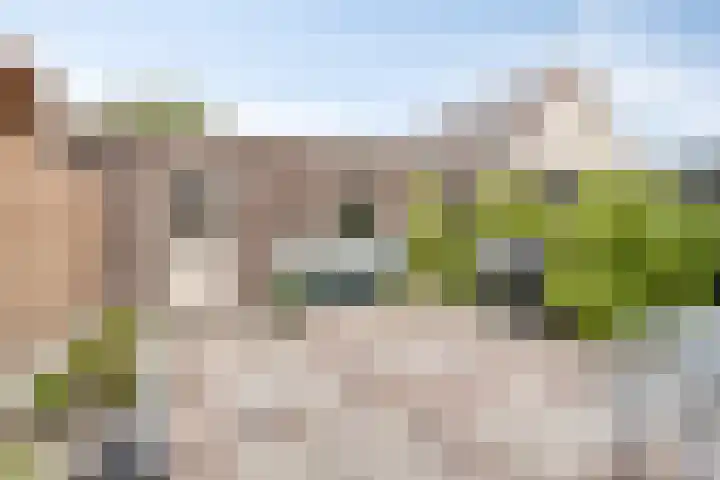 Priorindreef 54 Willemstad thumbnail 30
