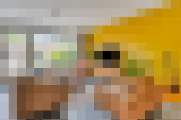 Priorindreef 54 Willemstad thumbnail 8