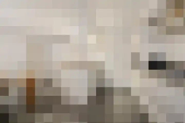 Priorstraat 2 Sneek thumbnail 18
