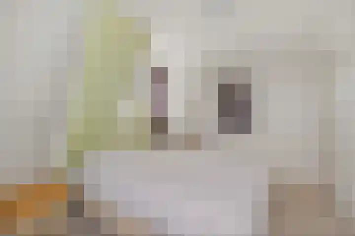 Priorstraat 2 Sneek thumbnail 29