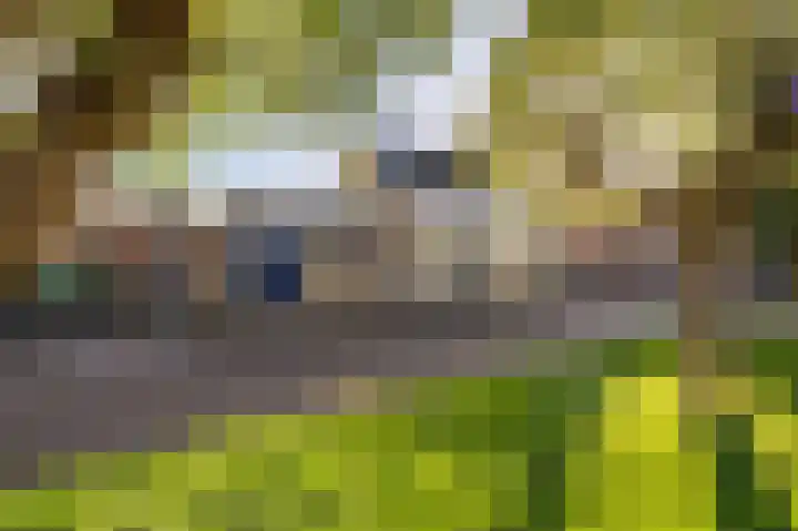 Priorstraat 2 Sneek thumbnail 8