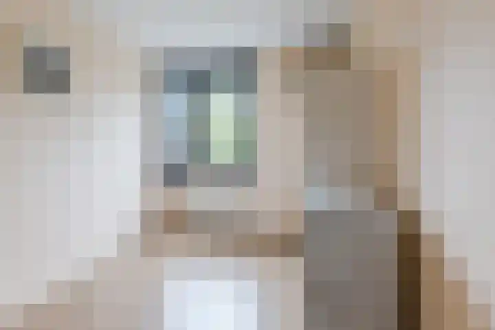 Prisma 14 Heerhugowaard thumbnail 33