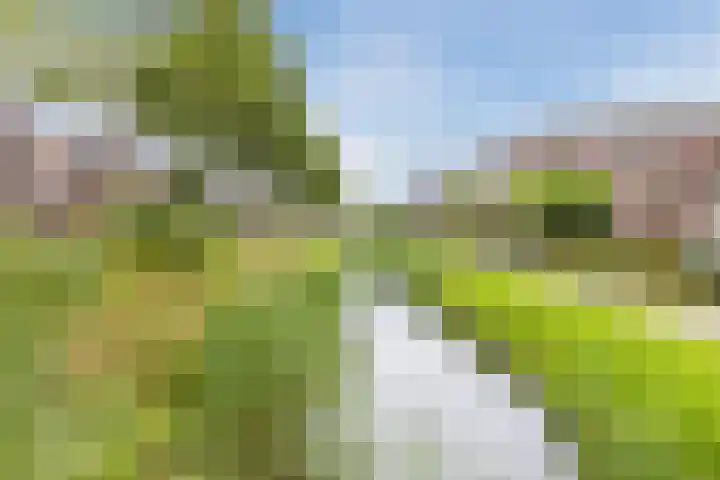 Prisma 14 Heerhugowaard thumbnail 36