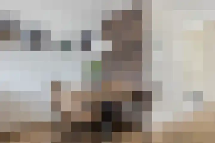 Prisma 14 Heerhugowaard thumbnail 7