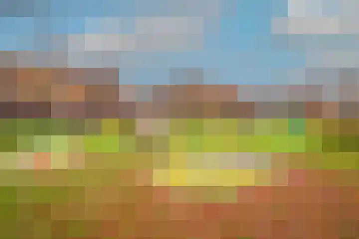 Prisma 19 Heerhugowaard thumbnail 33