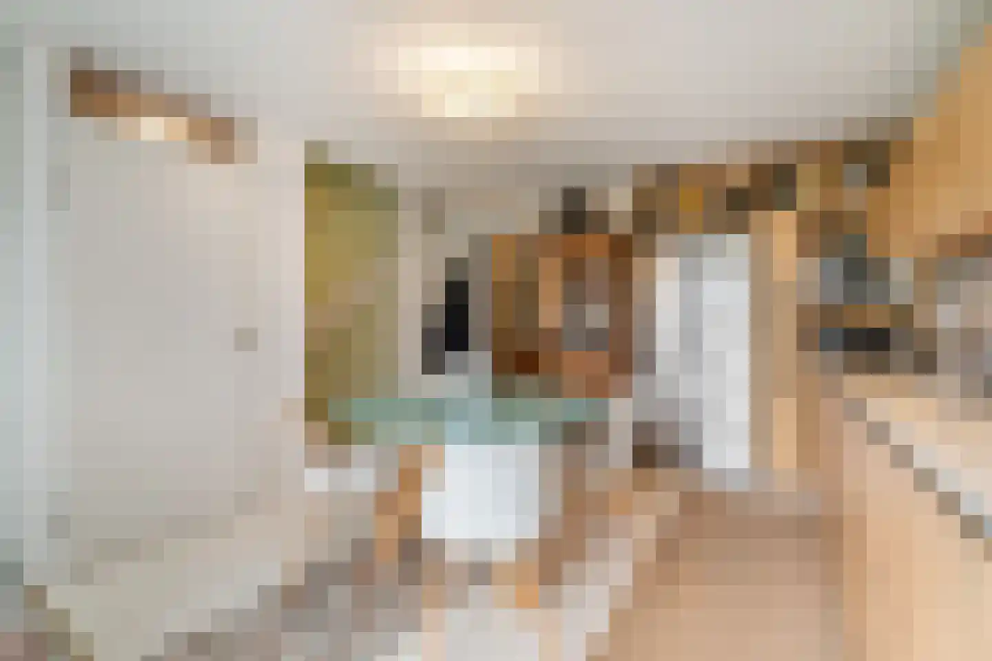 Prismastraat 20 Almere thumbnail 8