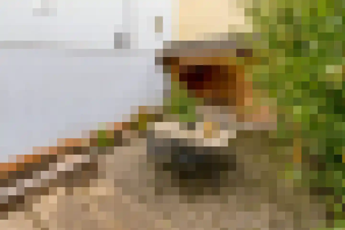 Prismastraat 24 Almere thumbnail 65