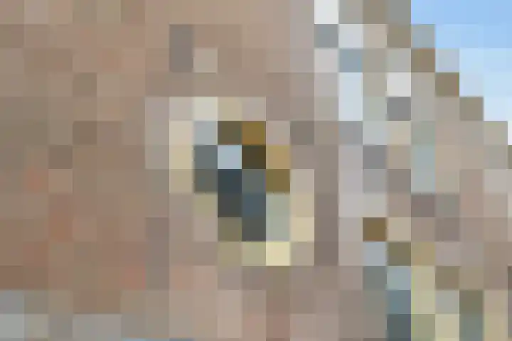 Prismastraat 8 Almere thumbnail 11