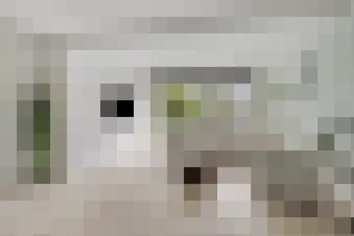 Prismastraat 8 Almere thumbnail 5