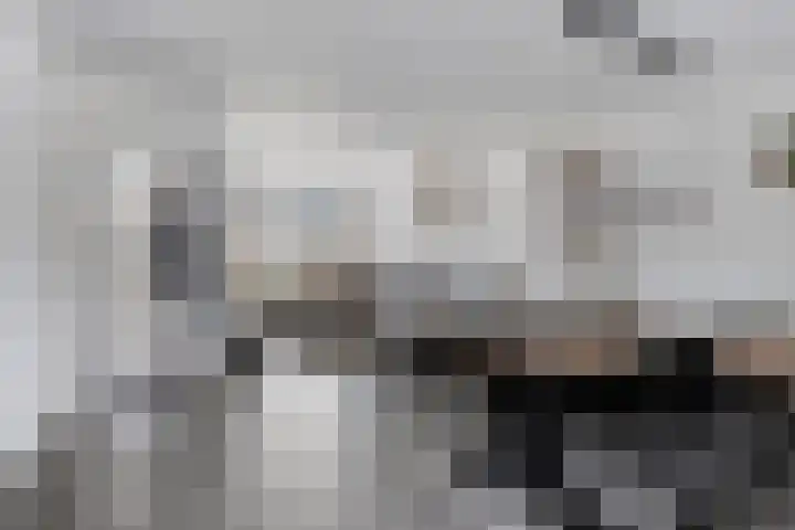 Privaspad 23 Eindhoven thumbnail 14