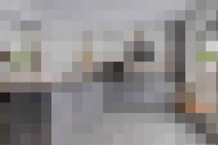 Privaspad 23 Eindhoven thumbnail 15
