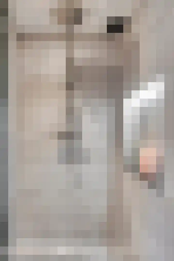 Privaspad 23 Eindhoven thumbnail 26