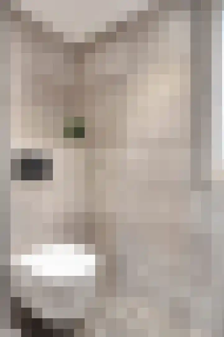 Privaspad 23 Eindhoven thumbnail 27