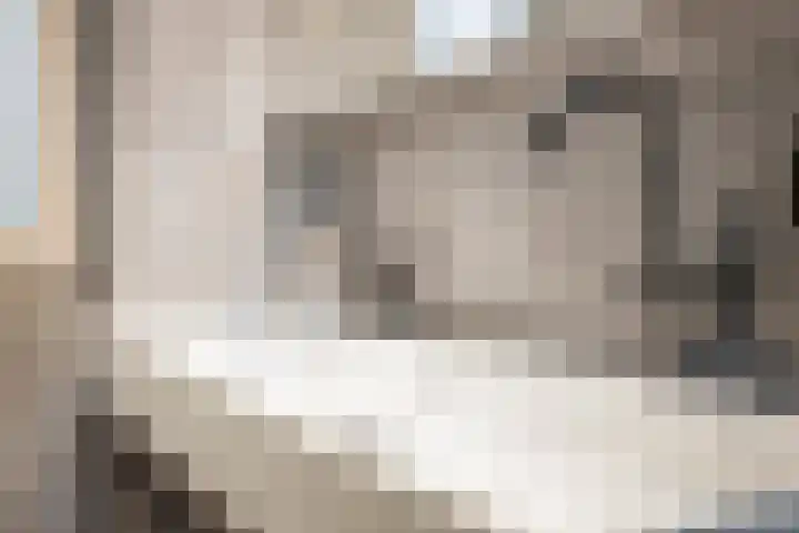 Privaspad 23 Eindhoven thumbnail 28