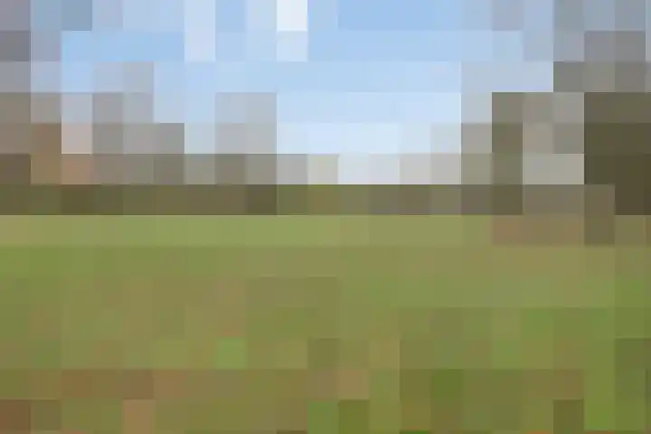Privaspad 23 Eindhoven thumbnail 48