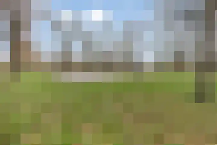 Privaspad 23 Eindhoven thumbnail 49