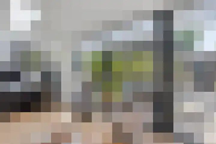 Privaspad 25 Eindhoven thumbnail 17