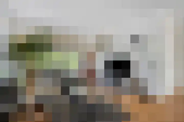 Privaspad 25 Eindhoven foto 2