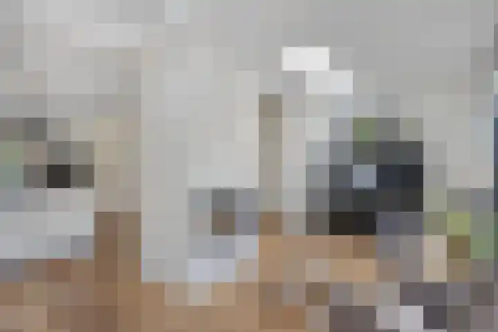 Privaspad 25 Eindhoven thumbnail 20