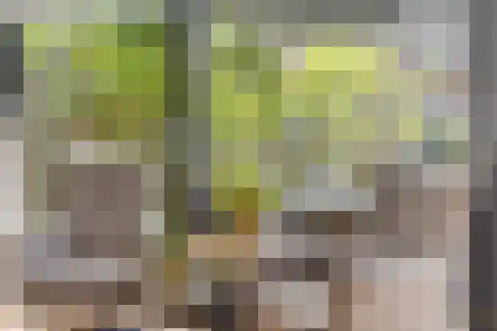 Privaspad 25 Eindhoven thumbnail 23