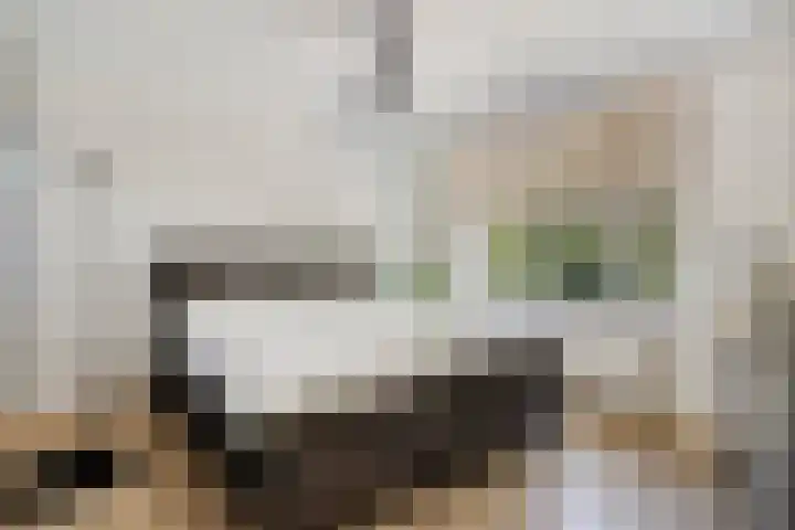 Privaspad 25 Eindhoven thumbnail 26