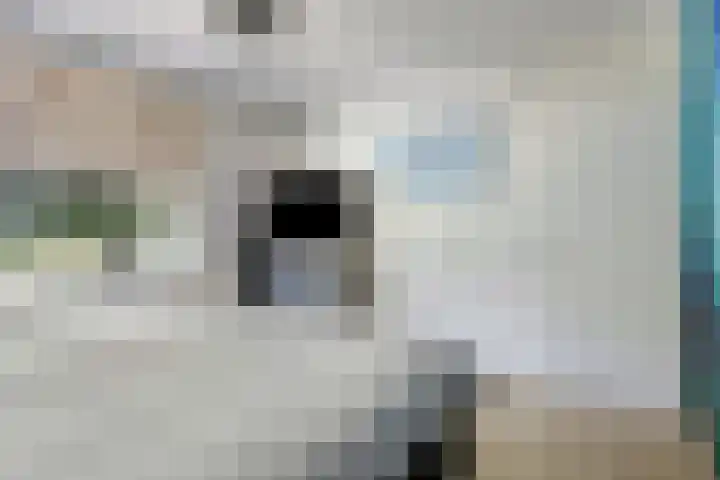 Privaspad 25 Eindhoven thumbnail 27