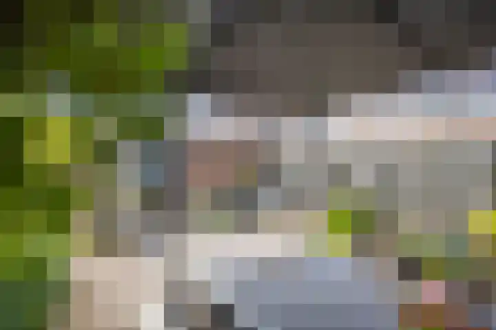 Privaspad 25 Eindhoven thumbnail 37