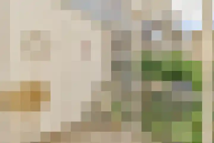 Privaspad 25 Eindhoven thumbnail 38