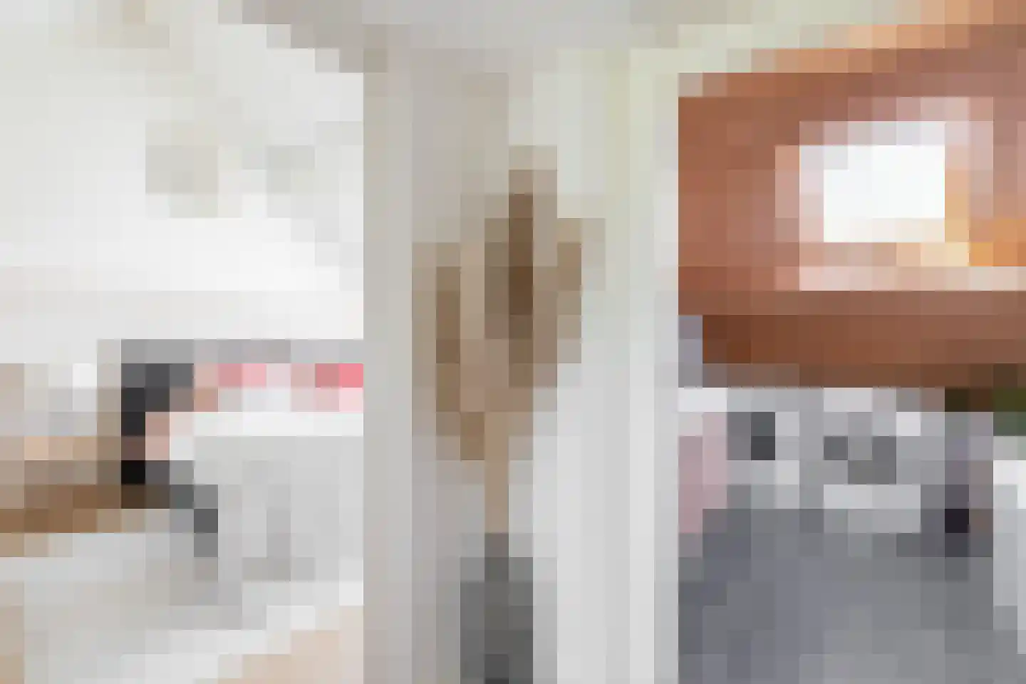 Privaspad 9 Eindhoven thumbnail 23