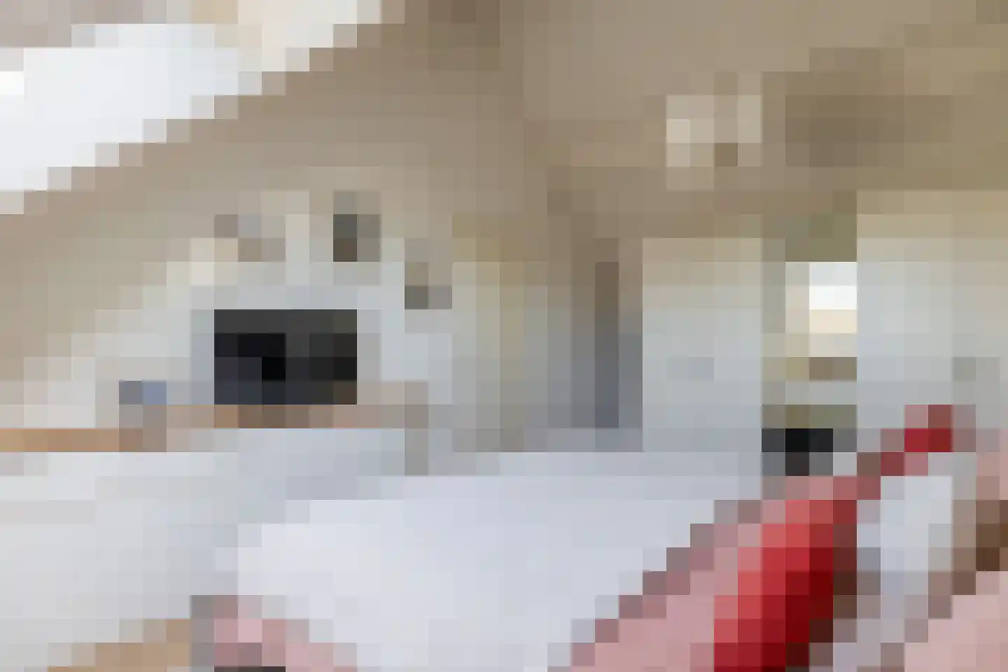 Privaspad 9 Eindhoven thumbnail 25