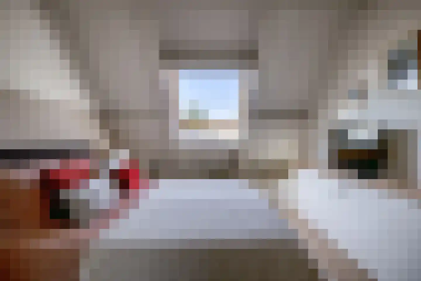 Privaspad 9 Eindhoven thumbnail 26