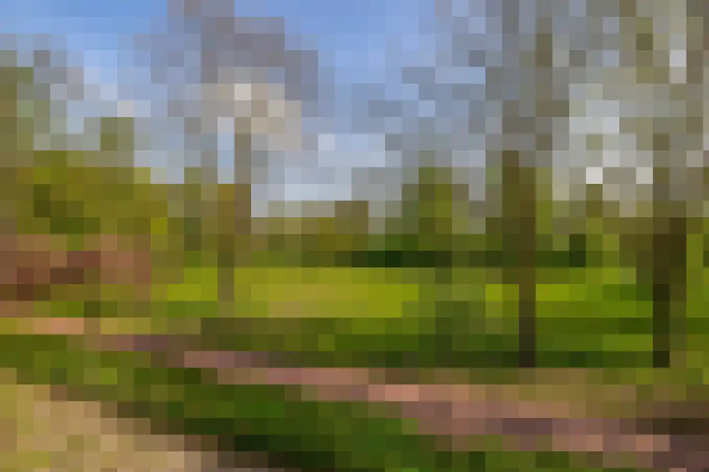 Privaspad 9 Eindhoven thumbnail 43