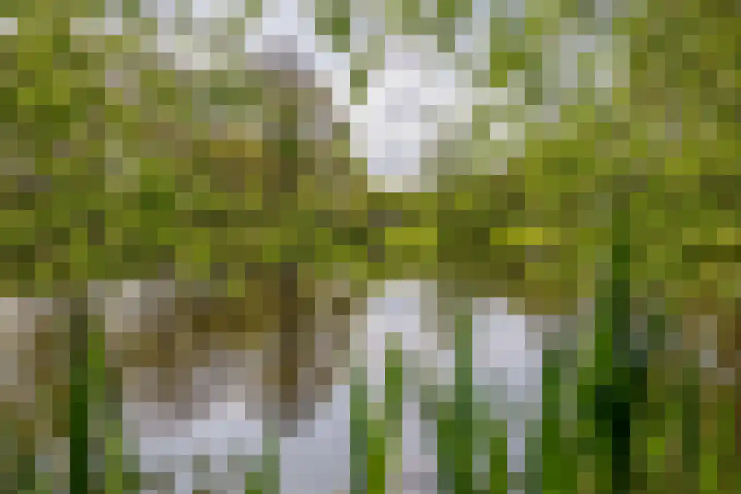Privaspad 9 Eindhoven thumbnail 46