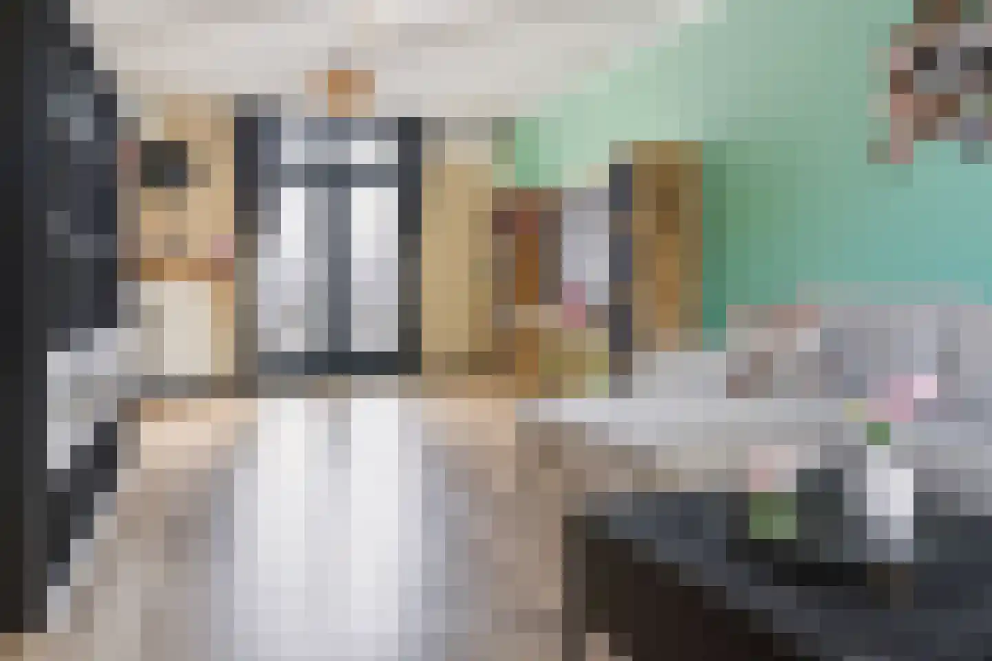 Processieweg 14 Siebengewald thumbnail 11