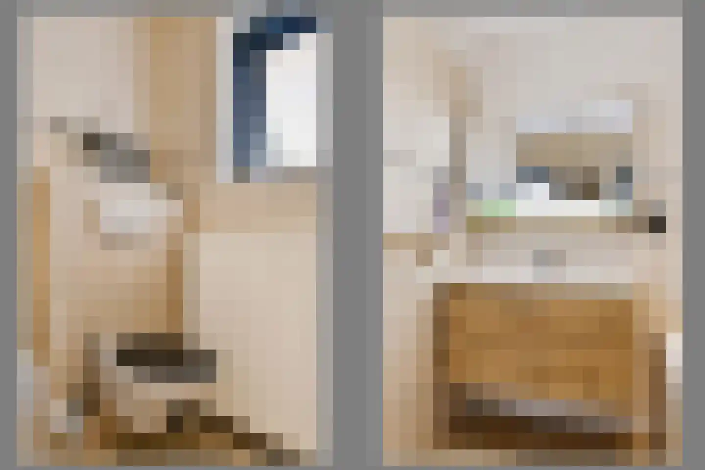 Processieweg 14 Siebengewald thumbnail 25