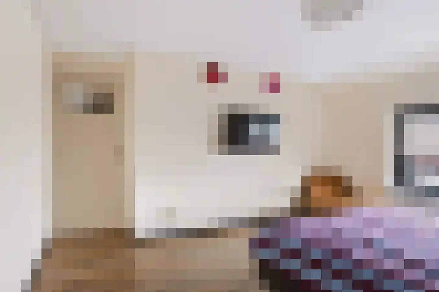 Processieweg 14 Siebengewald thumbnail 29