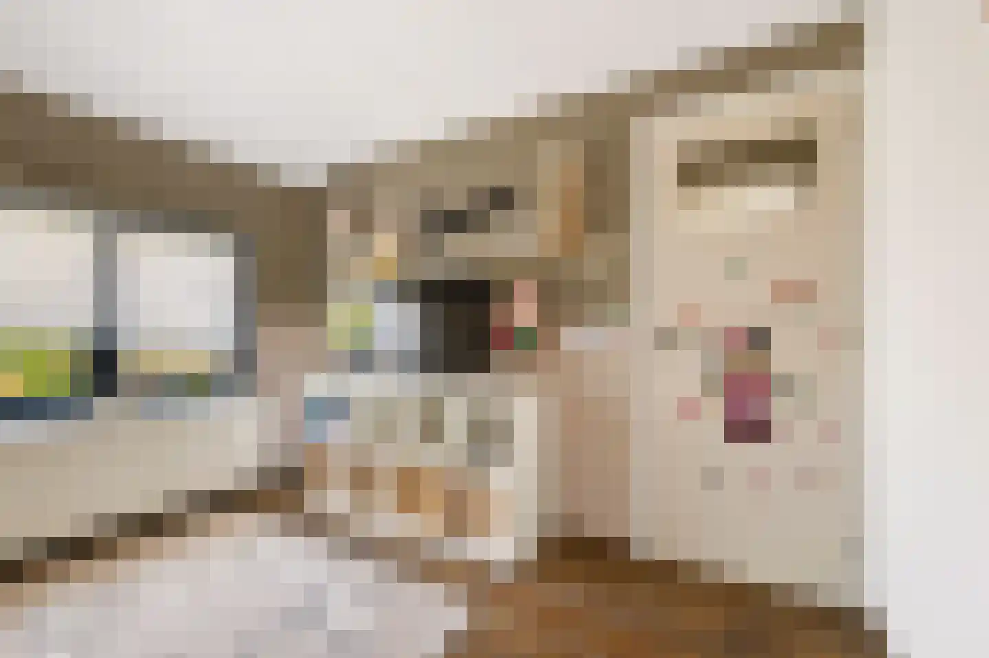 Processieweg 14 Siebengewald thumbnail 32