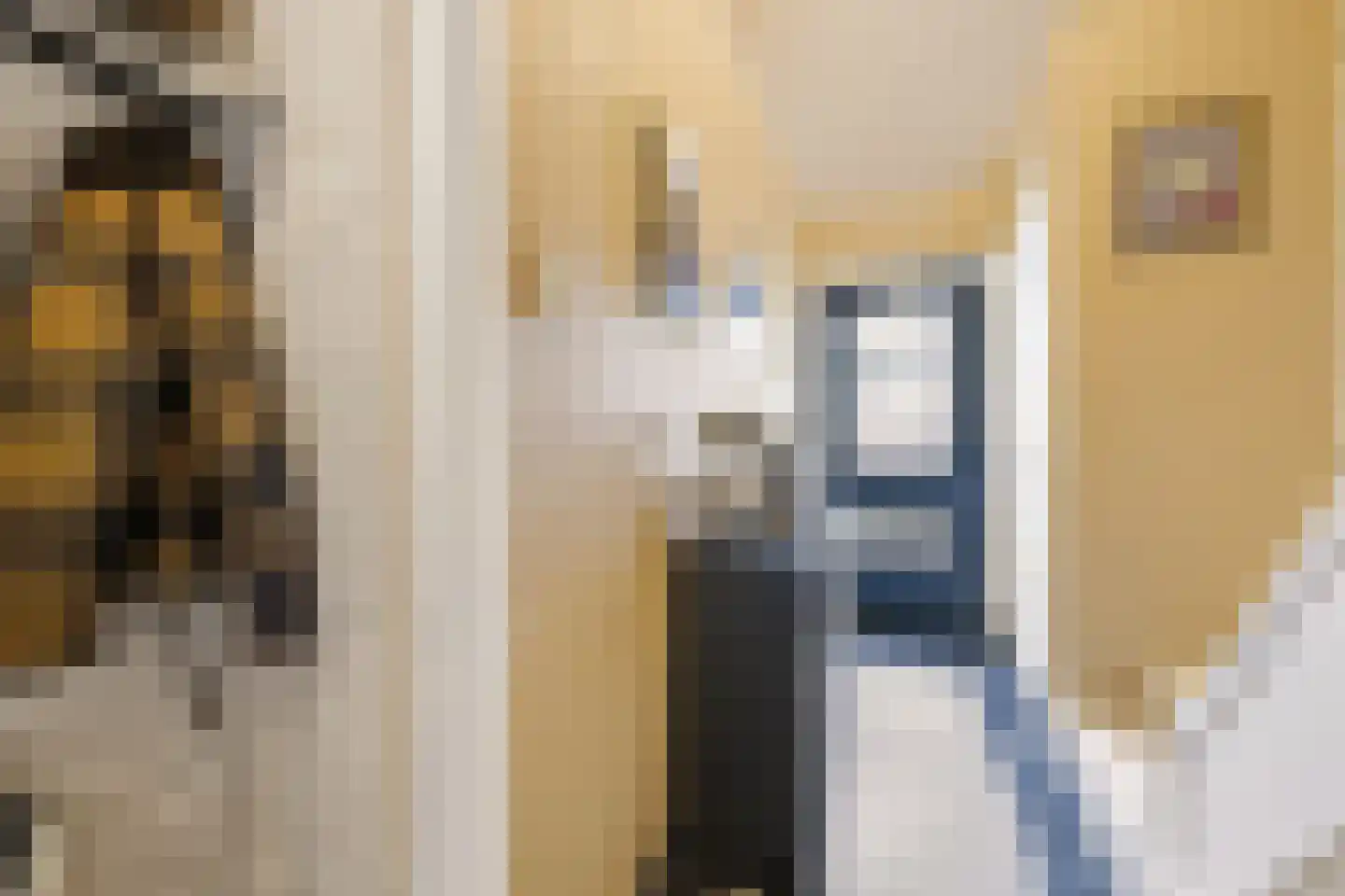 Processieweg 14 Siebengewald thumbnail 6