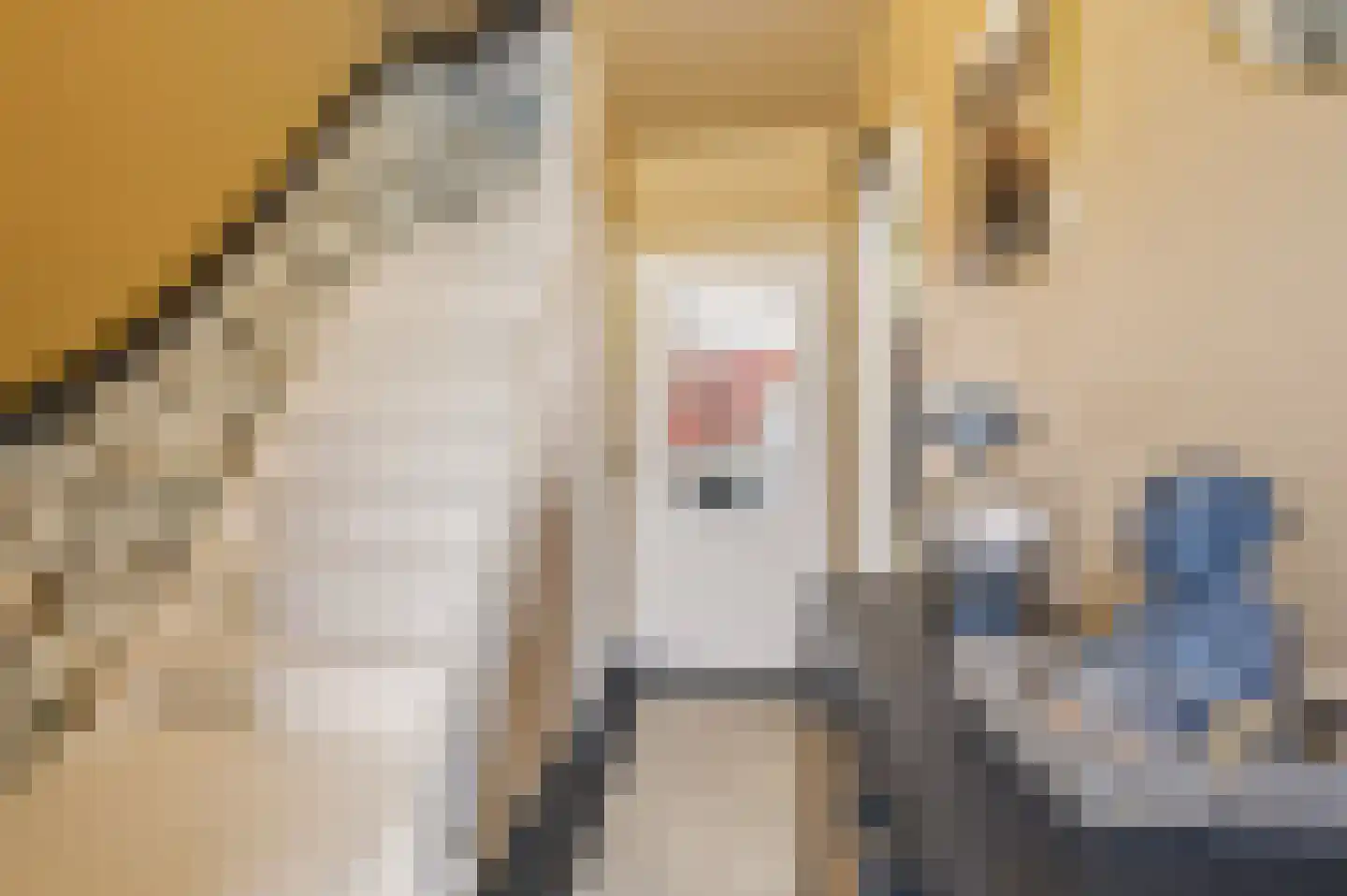Processieweg 14 Siebengewald thumbnail 7