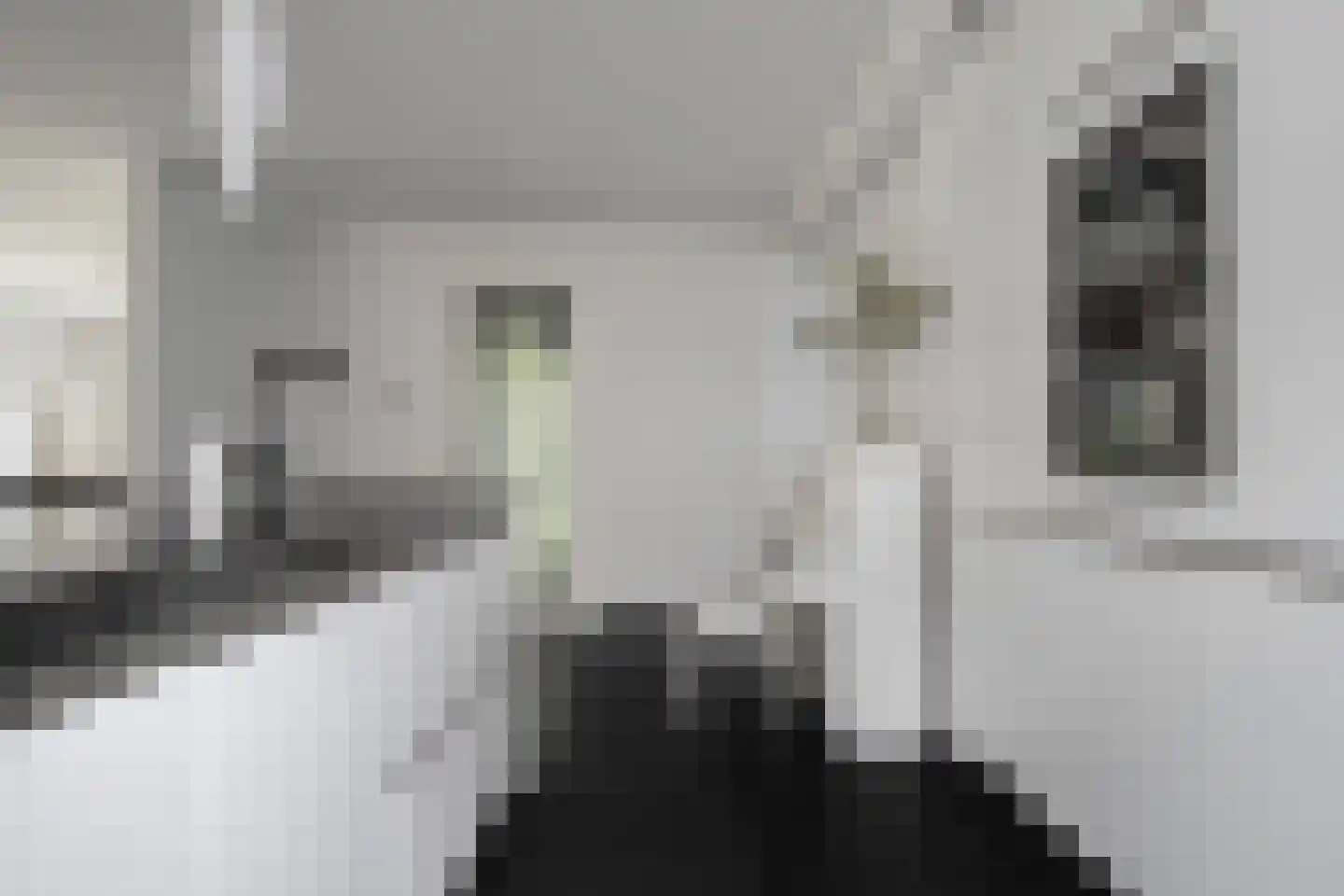Productieweg 6 Hasselt thumbnail 21