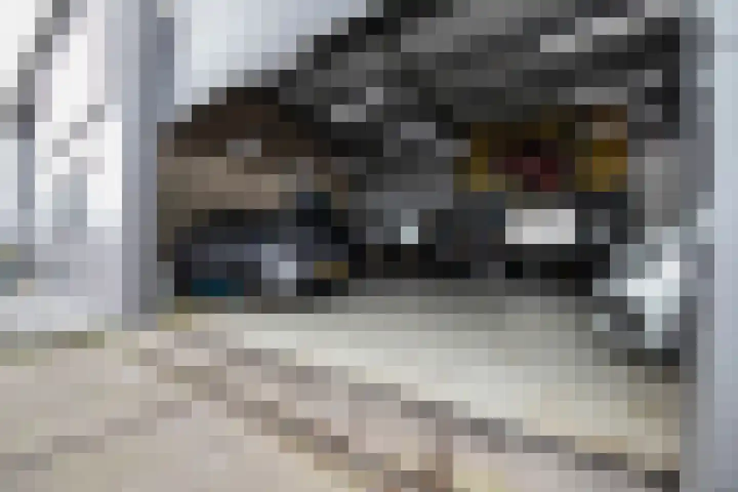 Productieweg 6 Hasselt thumbnail 55