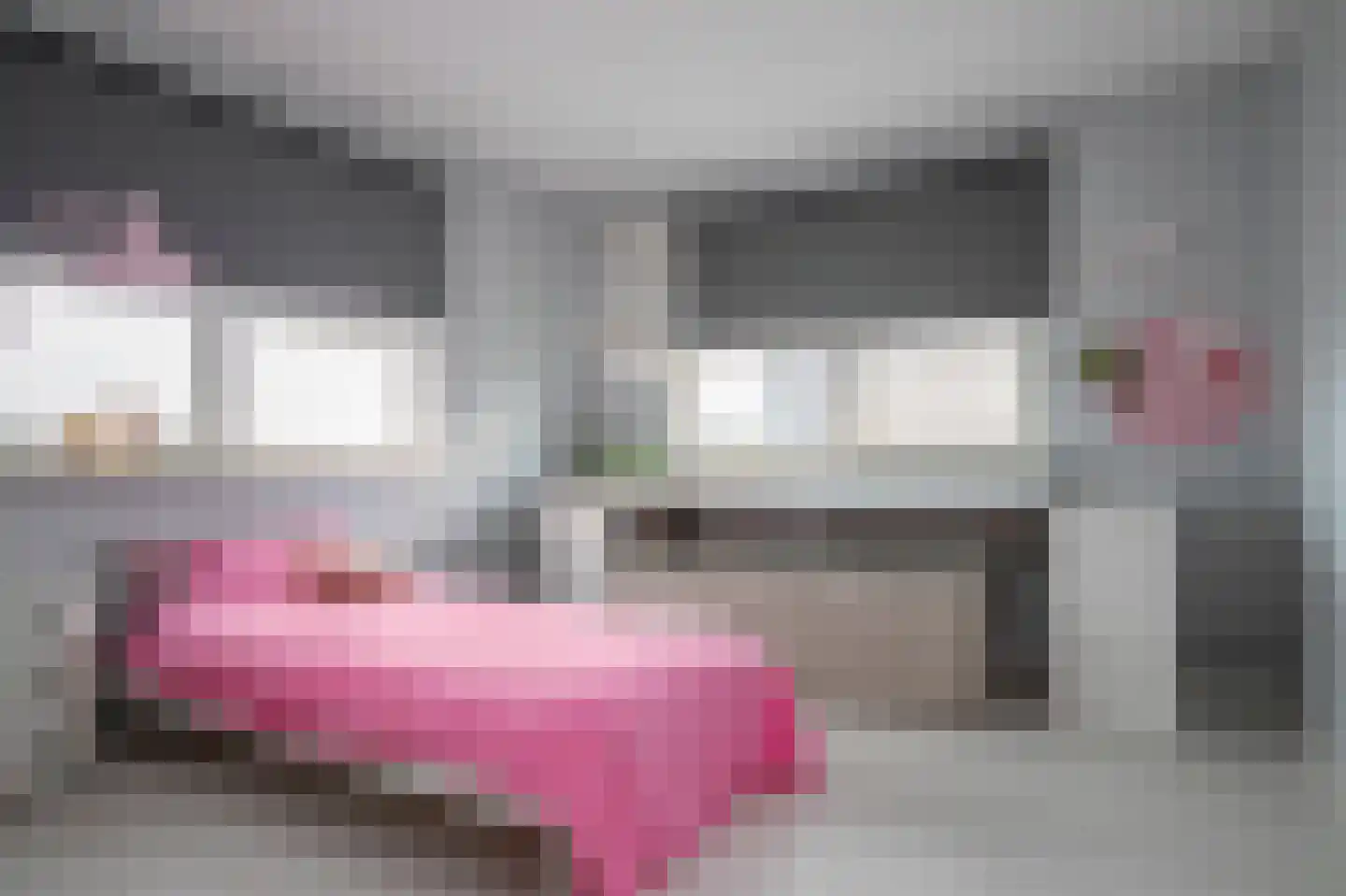 Productieweg 6 Hasselt thumbnail 58