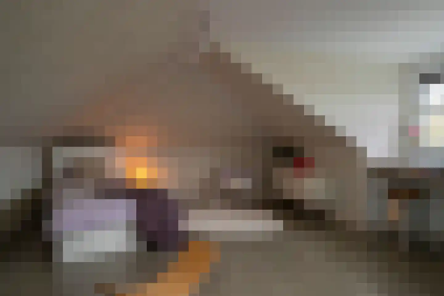 Productieweg 6 Hasselt thumbnail 66
