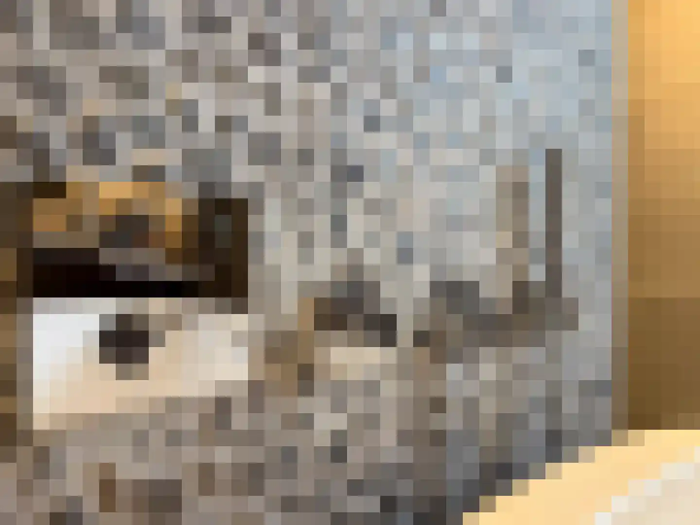Productieweg 6 Hasselt thumbnail 69