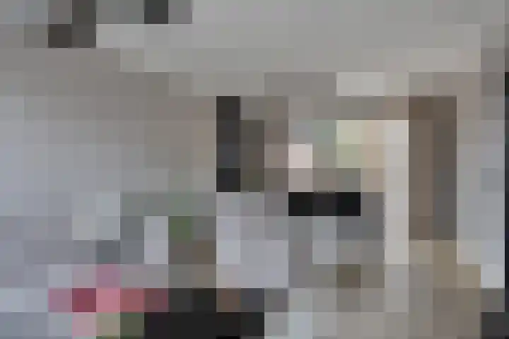 Produktiestraat 2 Veenendaal thumbnail 14