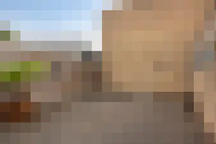 Produktiestraat 2 Veenendaal thumbnail 29