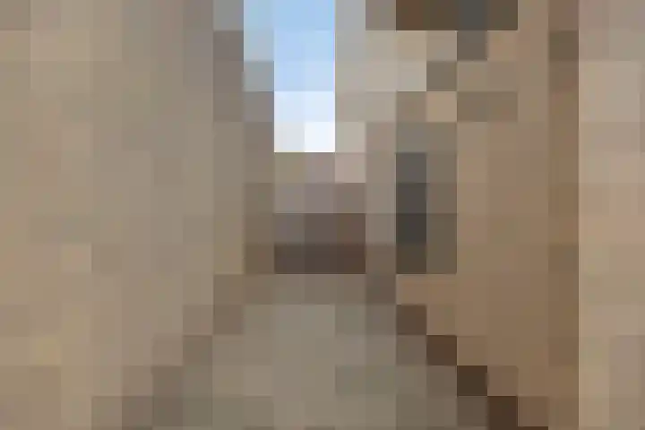 Produktiestraat 2 Veenendaal thumbnail 31