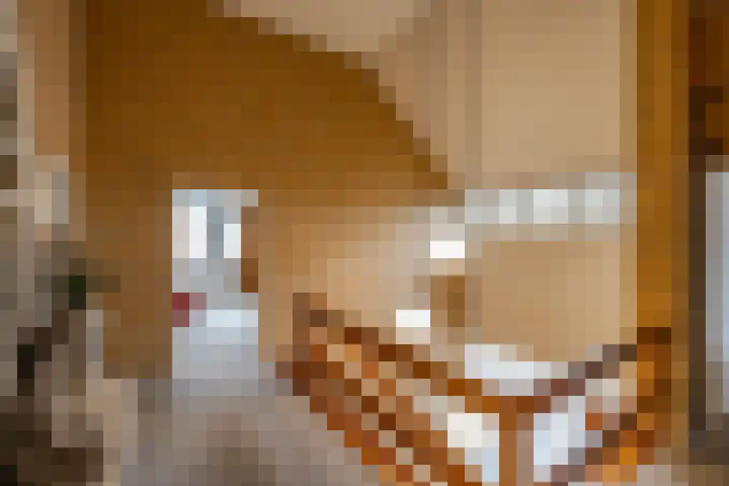 Produktieweg 11 Hoogezand thumbnail 36
